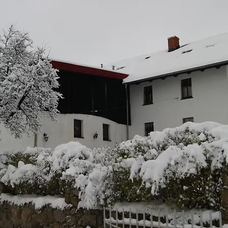 Nostalgia * Sosnówka