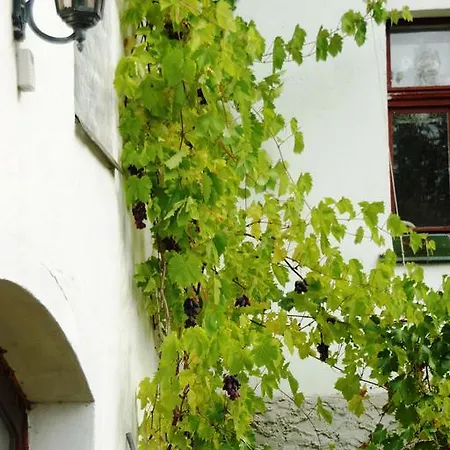 Nostalgia * Sosnówka