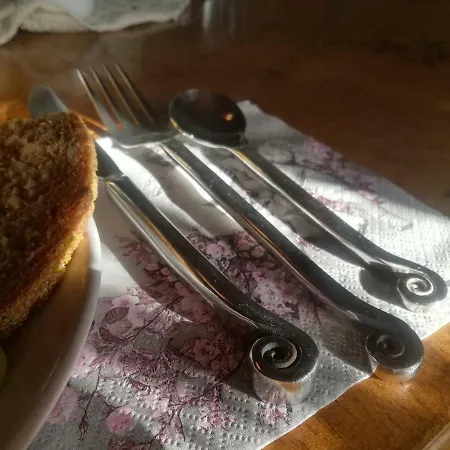 Nostalgia * Sosnówka