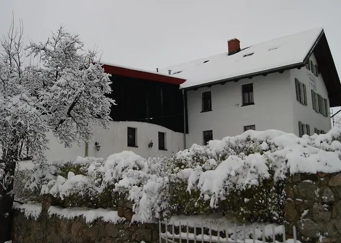 Nostalgia * Sosnówka