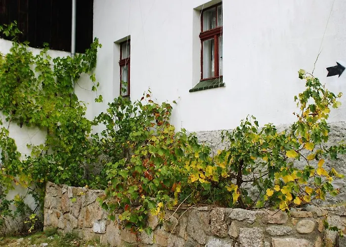 Nostalgia ホテル *