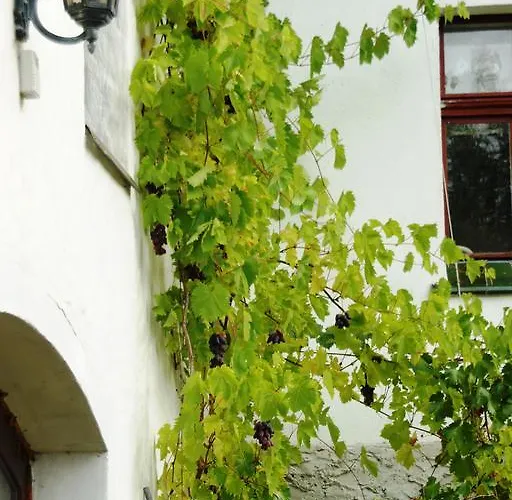 Nostalgia * Sosnówka